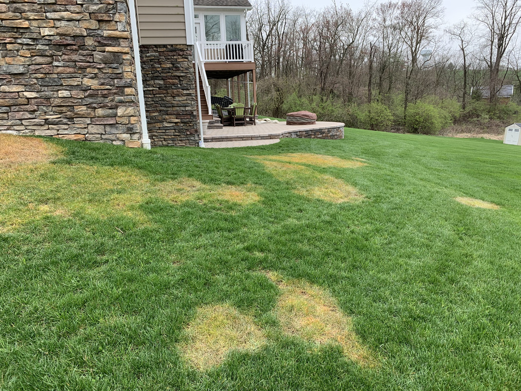 Photo Apr 14, 5 33 45 PM