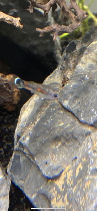 3CB793A4-215F-4D01-AD2C-B717B9EF6782