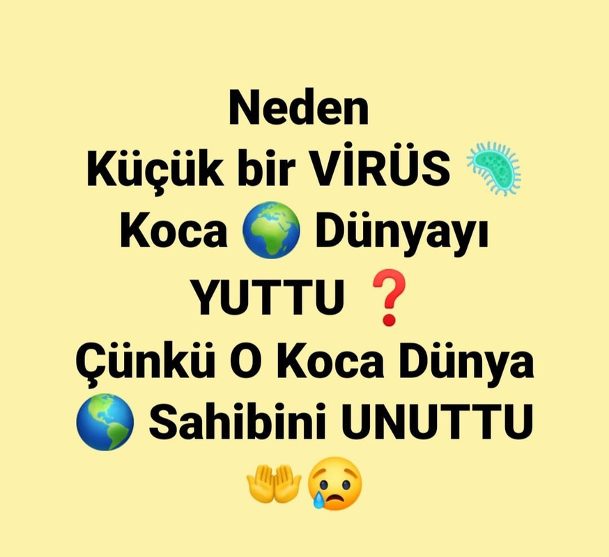 833116B7-9741-4111-BC81-93FCE8BD445A