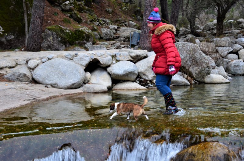 EL CHARCO VERDE-7-2-2015-AVILA - Paseando por España-1991/2016 (9)