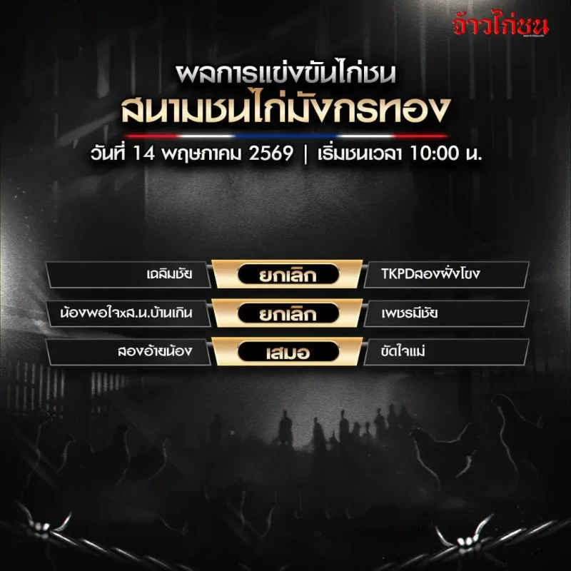 สรุปผลไก่ชน มังกรทอง 14 พฤษภาคม 2569