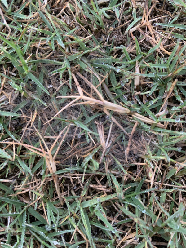 A88A4BCB-F60D-4794-BD62-73FA52B36552