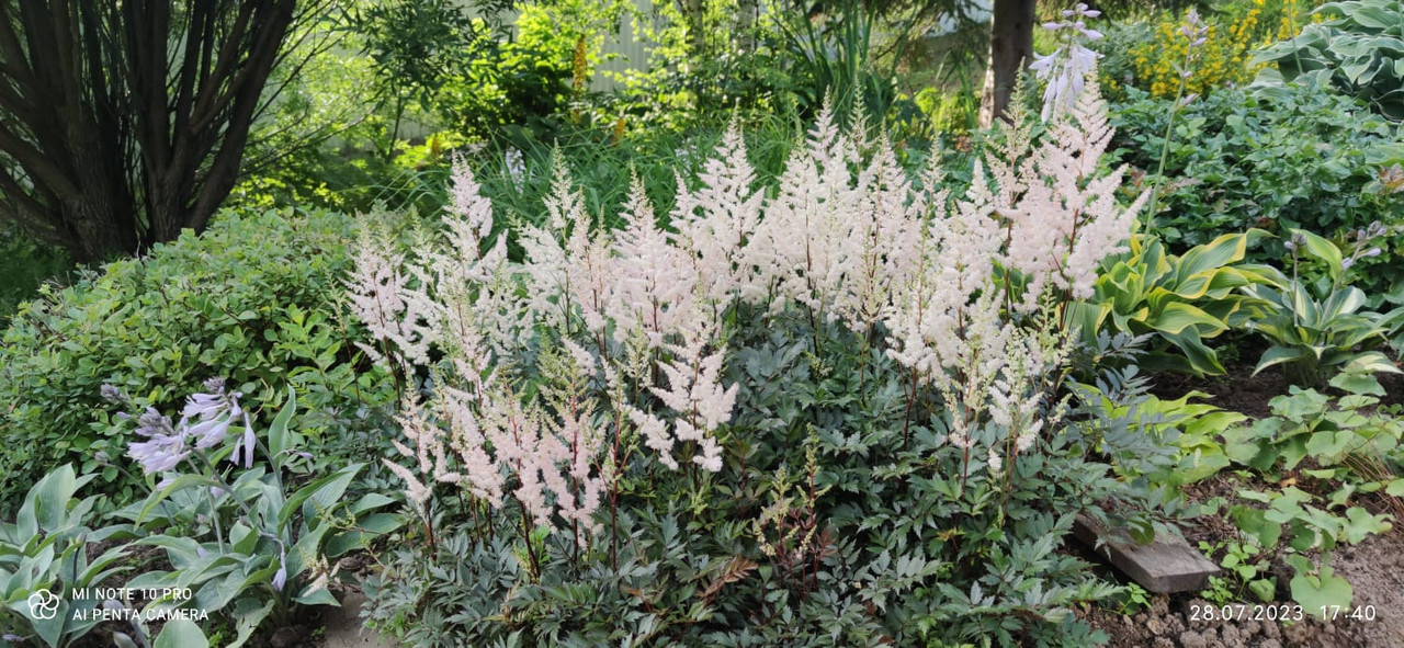 81BC8F2B-451A-404E-884E-E232AA0825EC