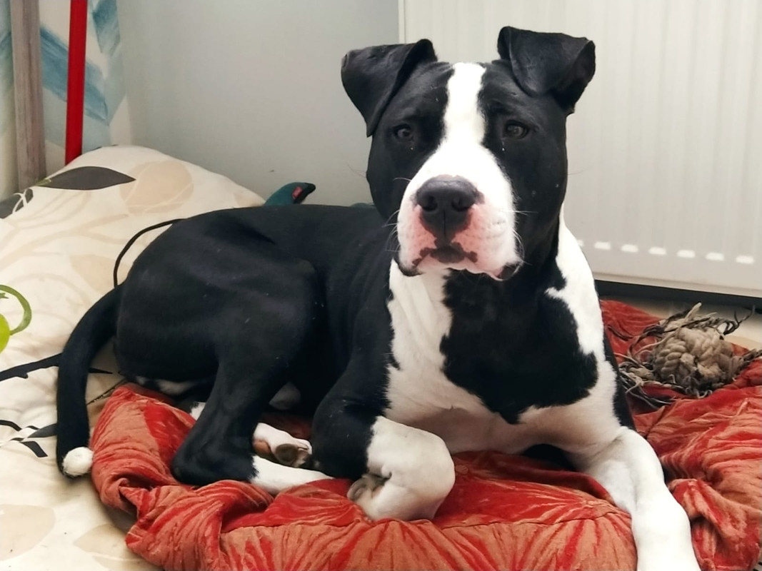 29885110-7296-4F44-B209-E70808EEEC3B