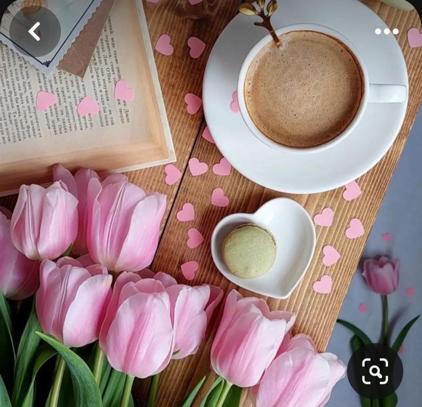 Screenshot_20230905_012214_Pinterest