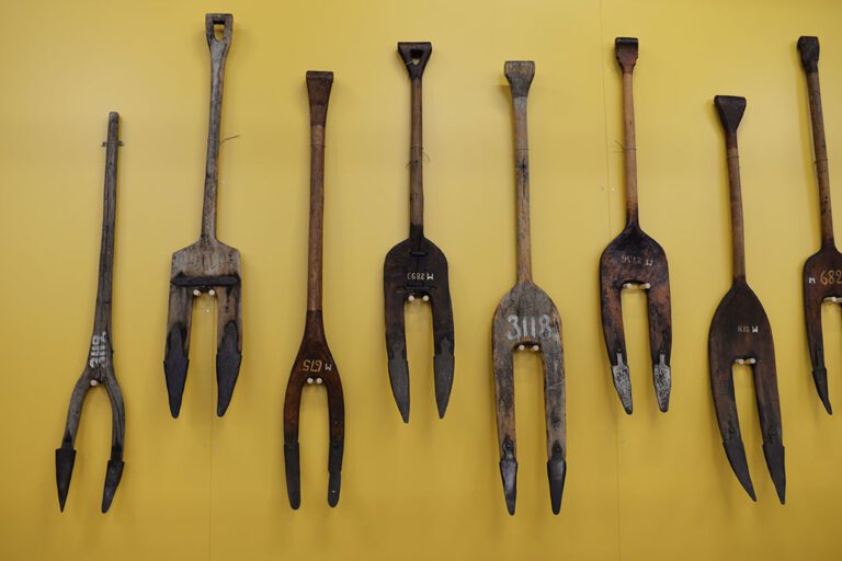 2019_1_29-iw-4-768x512