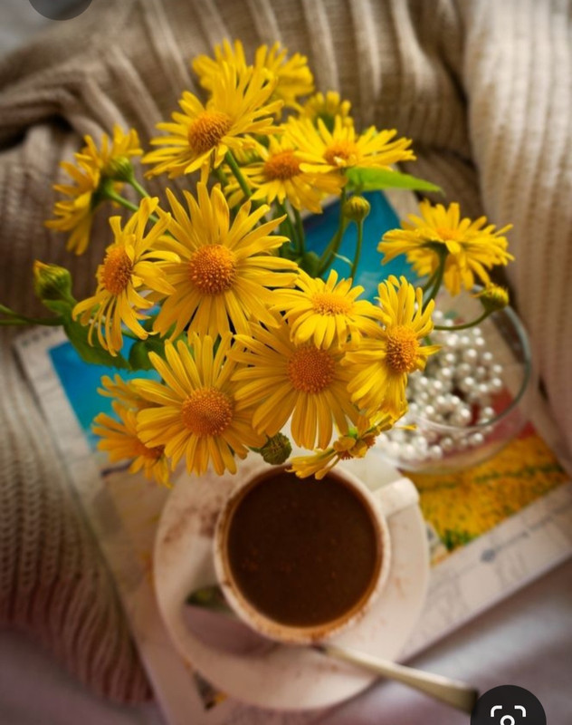 Screenshot_20230615_230049_Pinterest