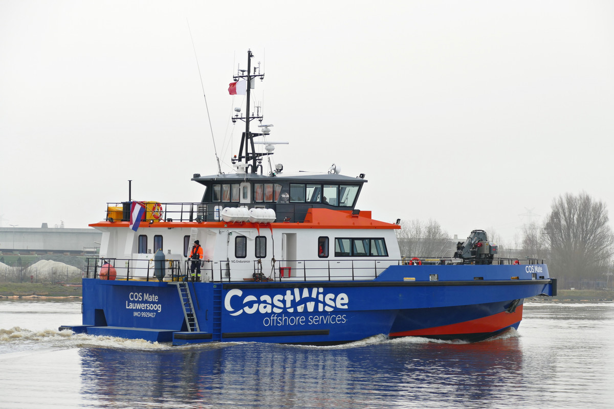 COS Mate (OK-060223-3)