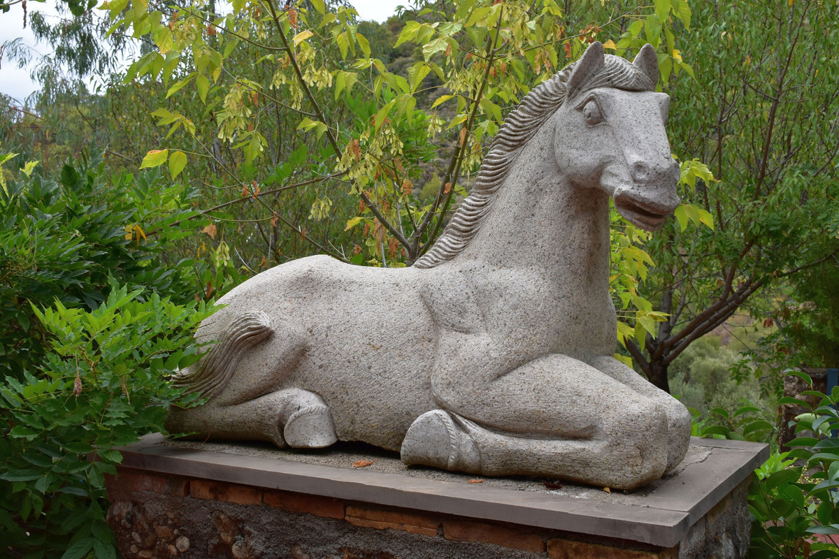 Βοτανικός Κήπος