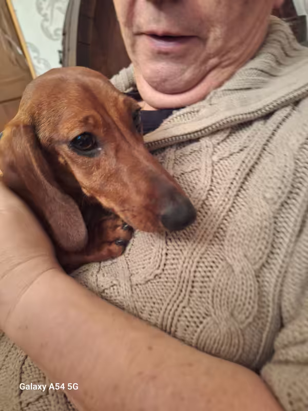 [Image: 20241129-181938.avif]