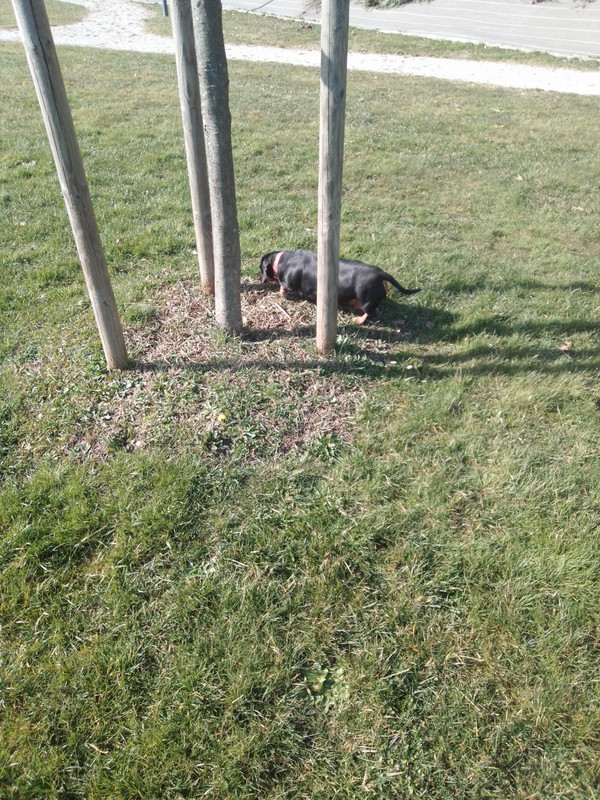 [Image: IMG-20250306-141903.jpg]