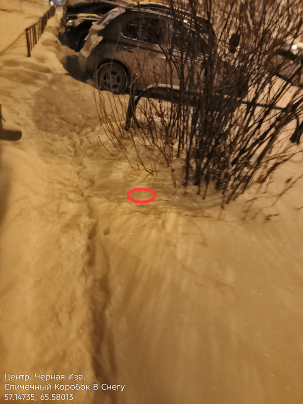 IMG 20260201 200017 229