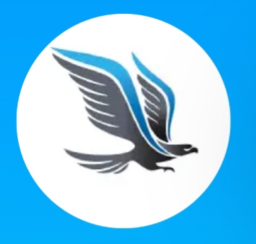 Nizar Transport Logo