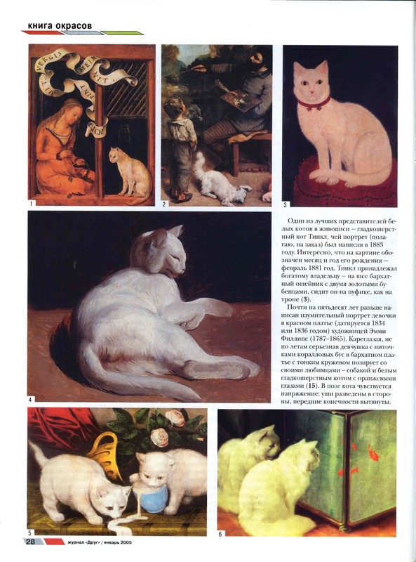 Друг кошек 2005-01-27