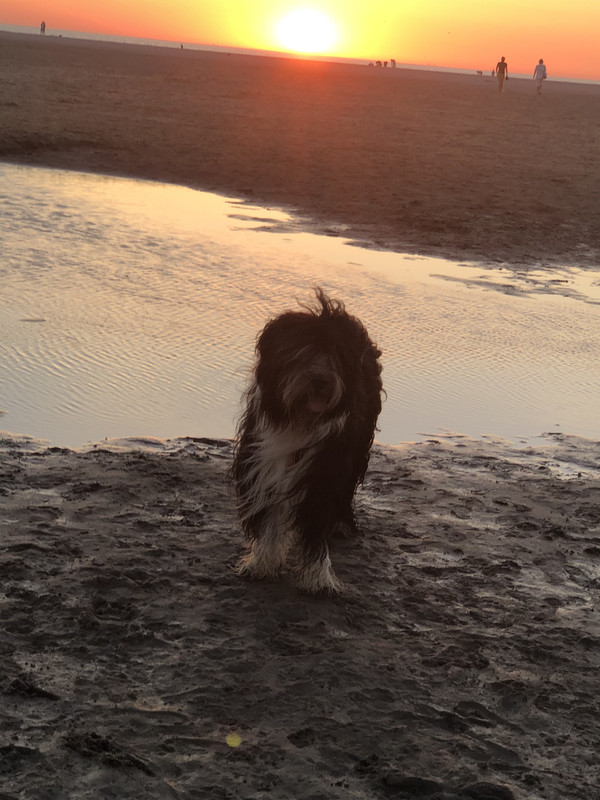 B3647A9F-0DEC-4C4D-BAE3-6EE31E2D9344