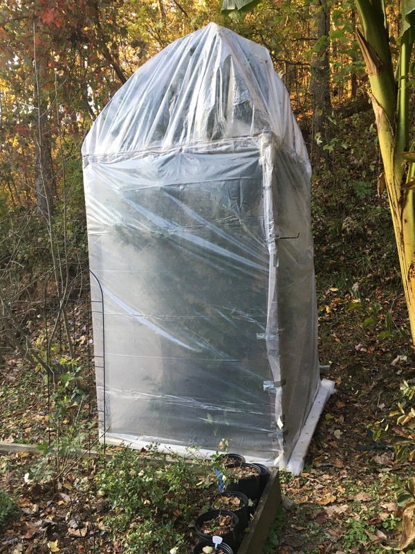 8C34EB61-0163-493D-93E4-FA0B10054503