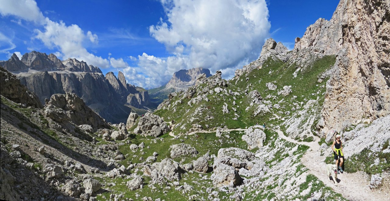 https://i.postimg.cc/DzPDcVjt/208-IMG-1247-IMG-1249.jpg