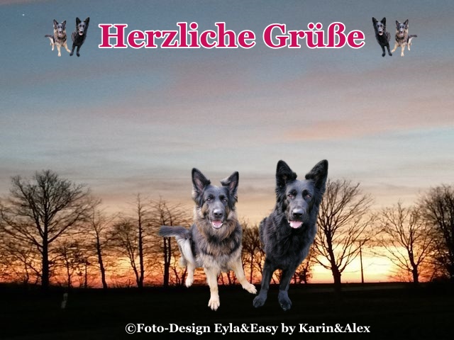 An den Beitrag angehängtes Bild: https://i.postimg.cc/DzPMjyZh/14-01-2022-Herzliche-Gr-e.jpg