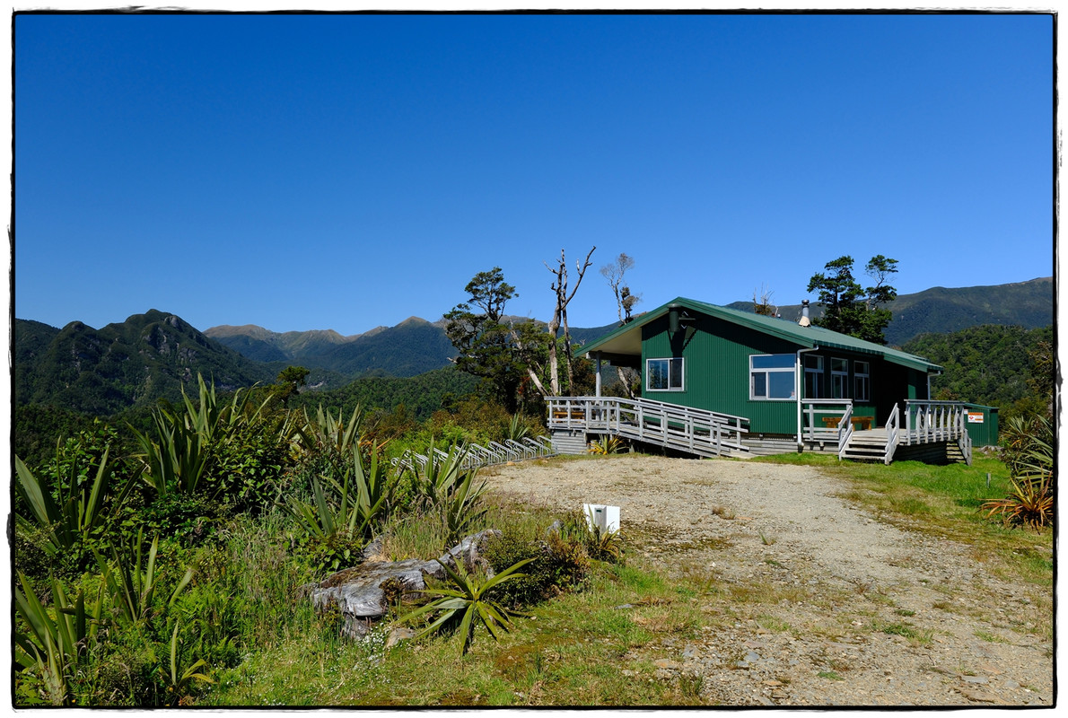 Paparoa NP: Paparoa Track (diciembre 2024) - Escapadas y rutas por la Nueva Zelanda menos conocida (43)