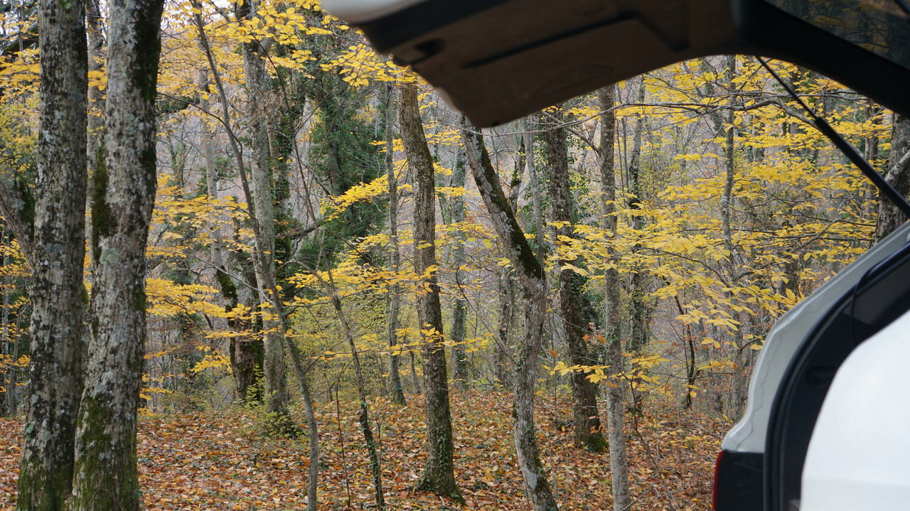 DSC09691.jpg