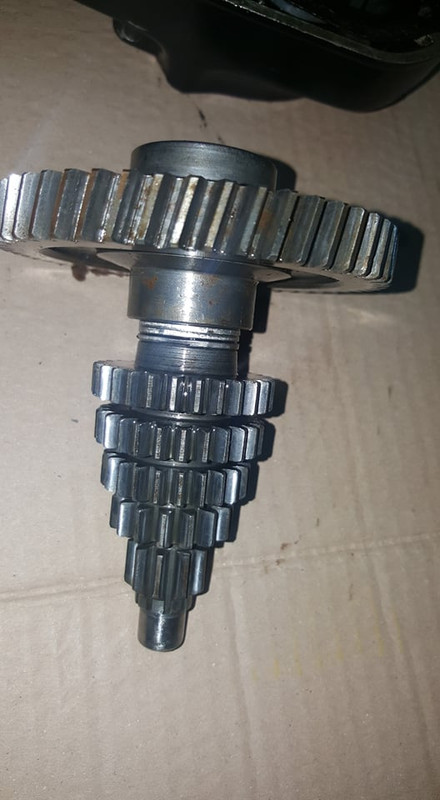 81387557_3215024598527142_5187909113010454528_n