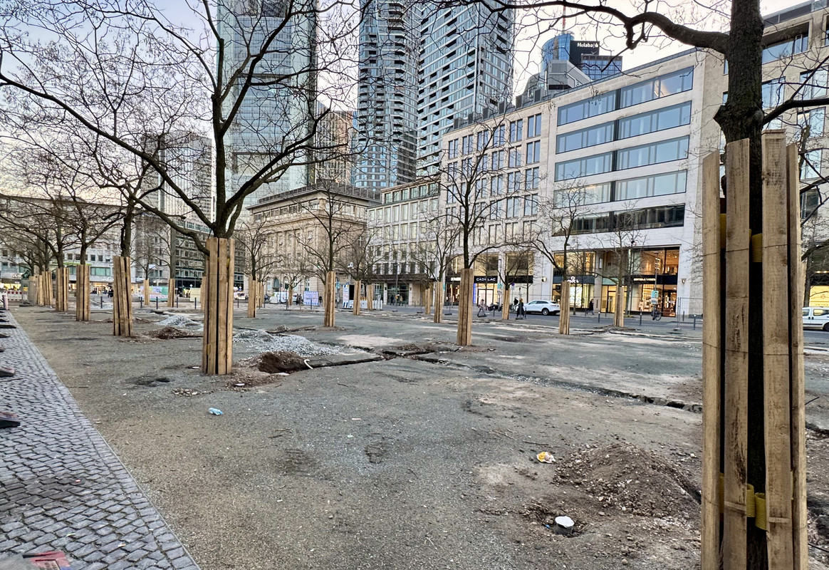 A3AAE32A-8517-4036-B985-D8C27BD429C3_1_201_a