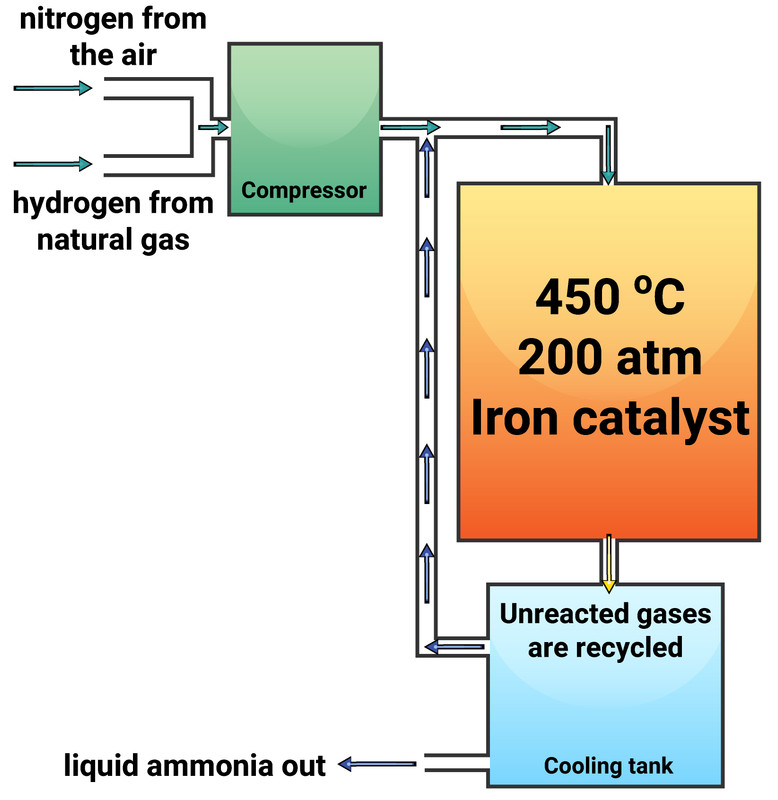 The Haber Process
