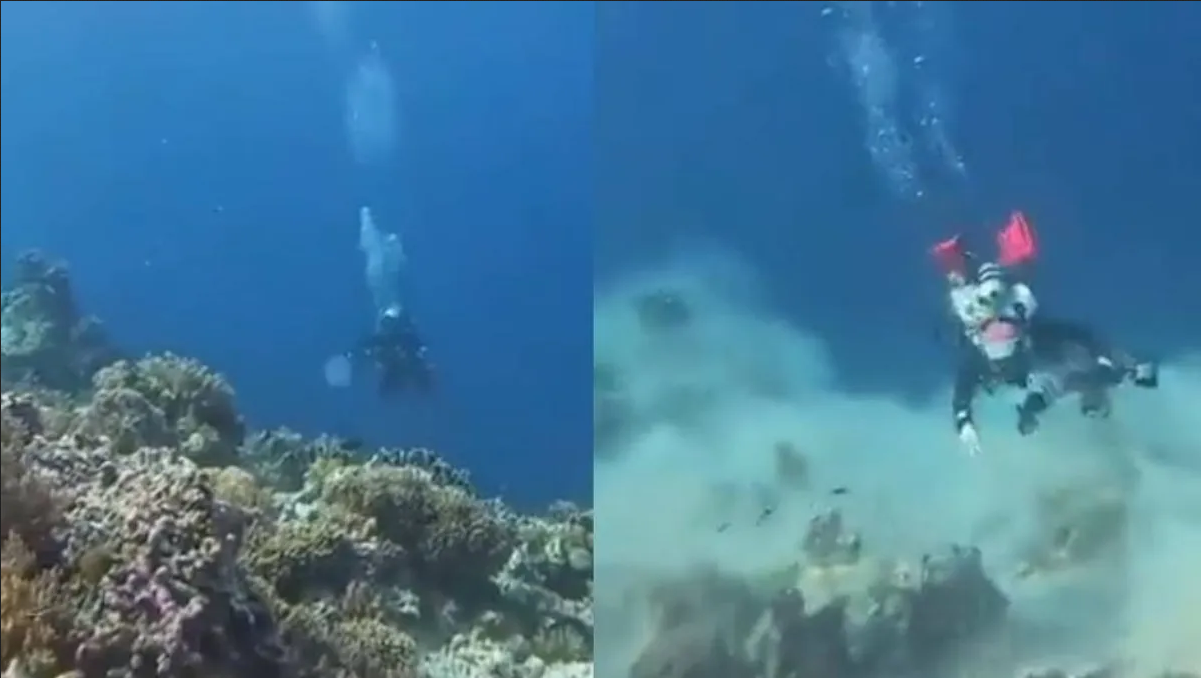 Buzos captan un terremoto debajo del agua; el video se hizo viral