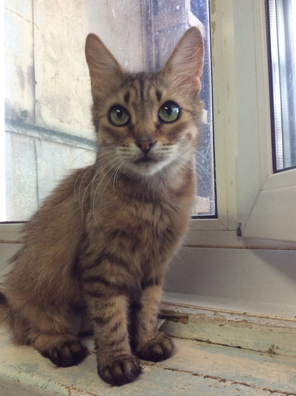 8D037DD3-27FC-4527-B30C-63E2ABA25664