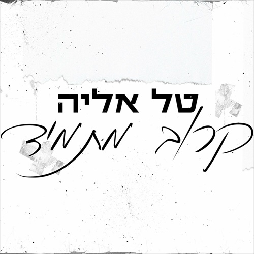 תמונה