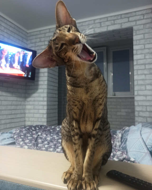 IMG_20220527_204801_375