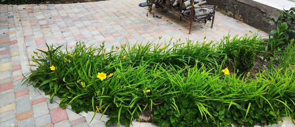 изображение_viber_2023-10-30_11-14-14-818