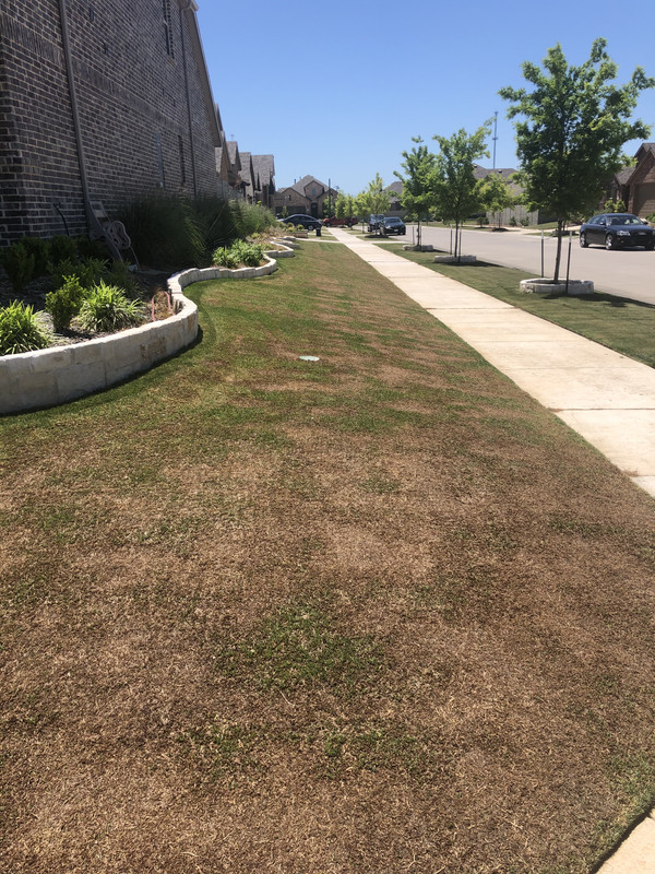 F6B11F1F-B949-40C2-9493-83EAE6D7756B