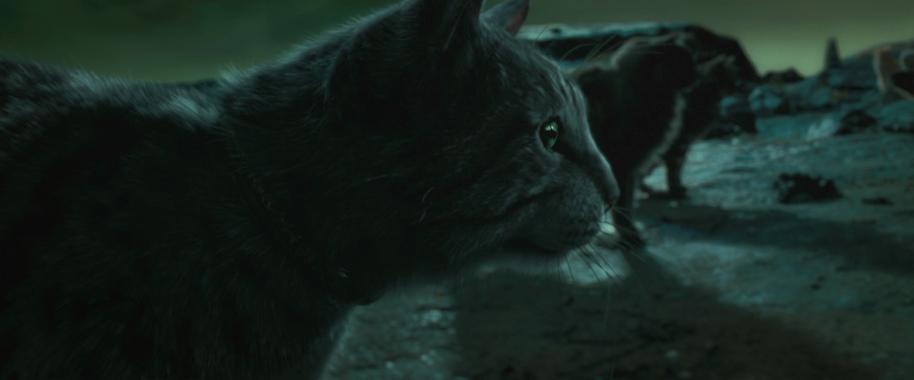 07 Женщина кошка 2004 BDRip 1080p.mkv_20231113_160818.483