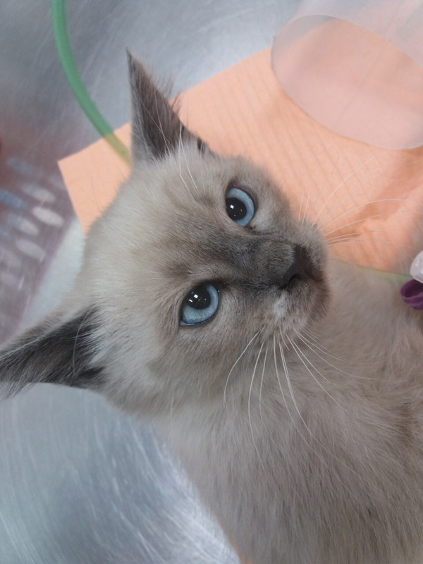 F41C7D81-79F2-48EC-93E9-4C547B9C9B0E