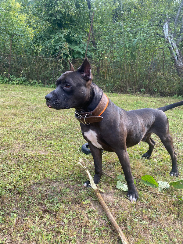 C26E63CD-E4E5-4362-A4E8-E29D395D1EC1