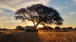 thumbnail_20180811_174327_HDR