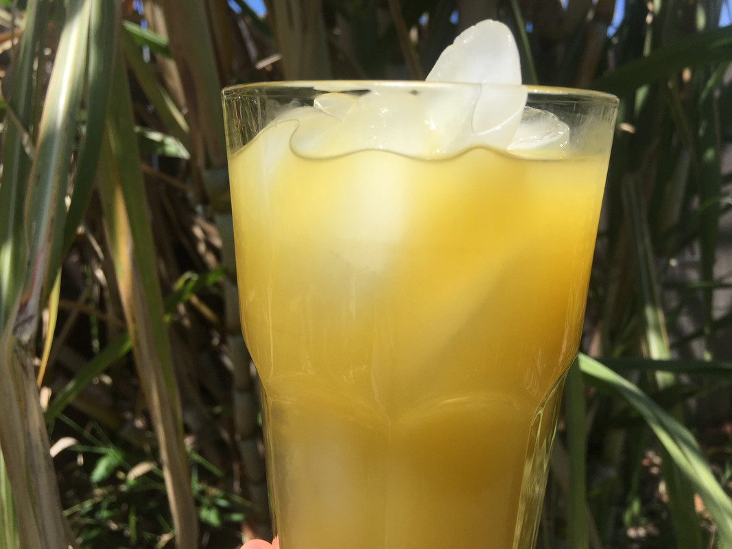 733104BF-9311-45E4-9AAF-A84C452E2C0B