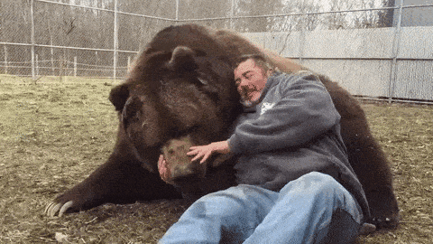 daily-gifdump-3408-13.gif