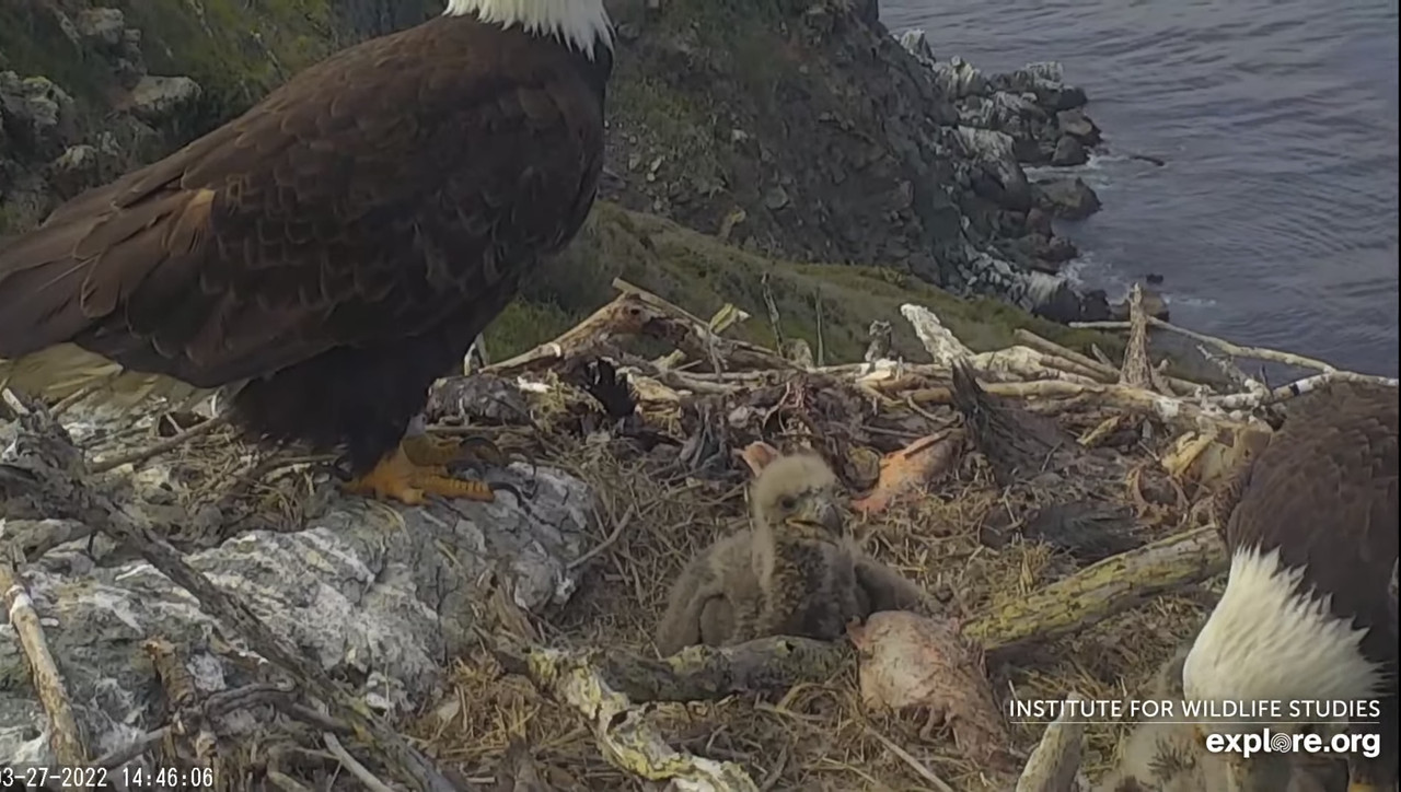 0715EDCA-AD23-4C87-8BF3-BA45CE489AC3