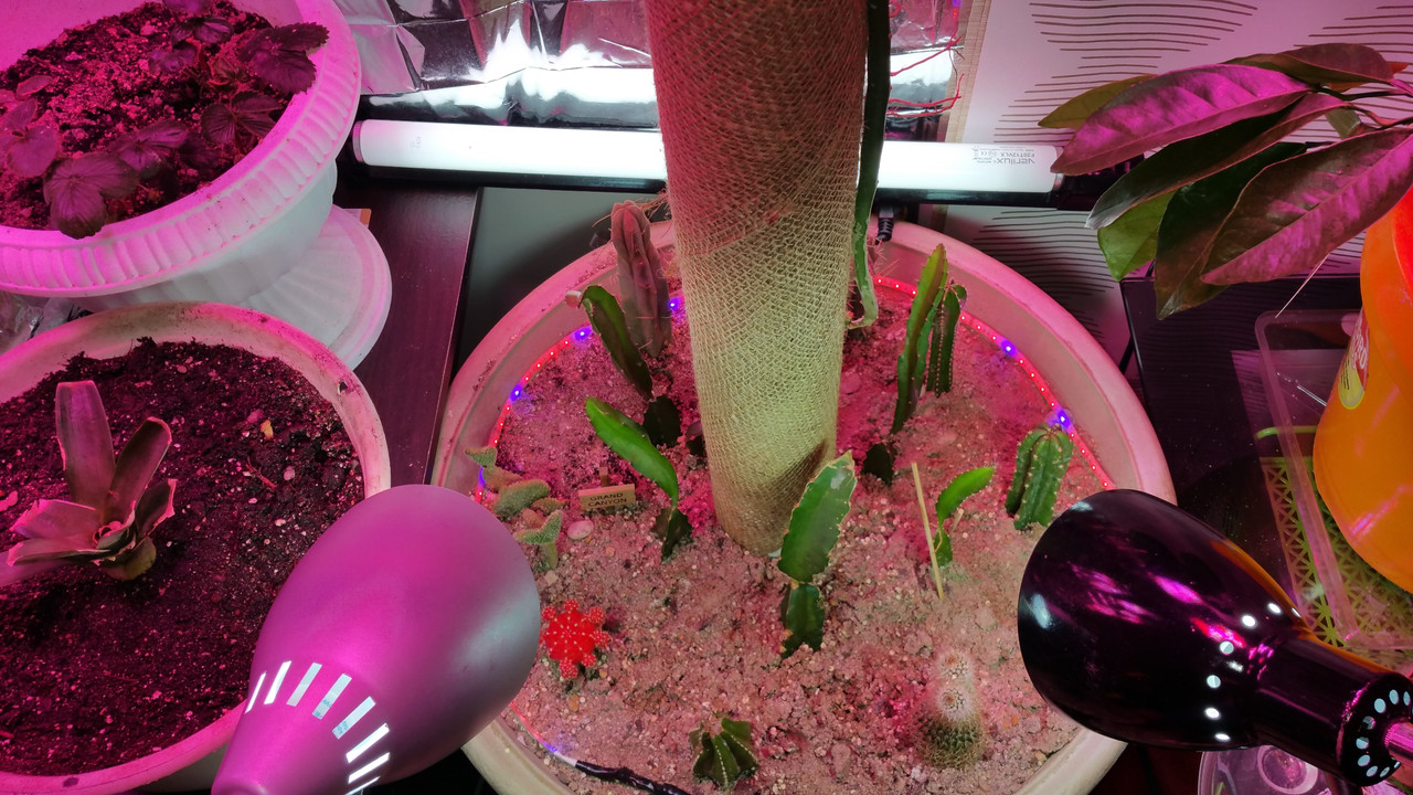 20150512_021540