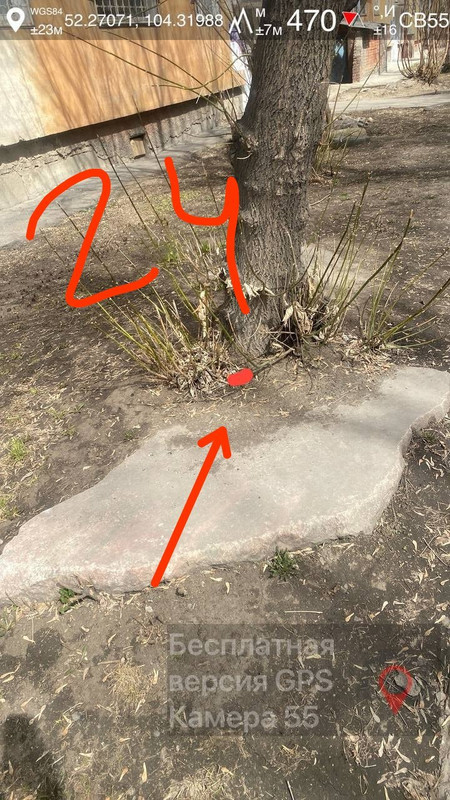 1 (21)