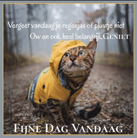 d993736f139b53f442b51a4c0a7e503b