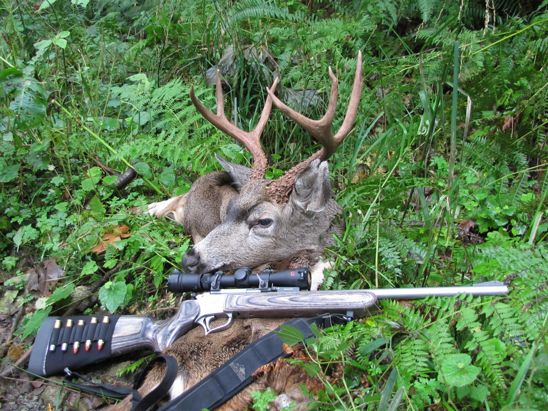 Coastal Blacktail 22" barreled T/C Contender in 45-70