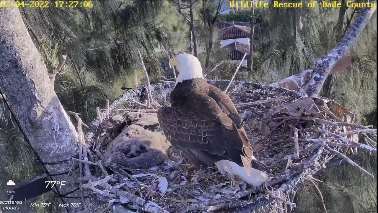 A916E3B0-5819-4FDD-88EF-D9FE42A614E5