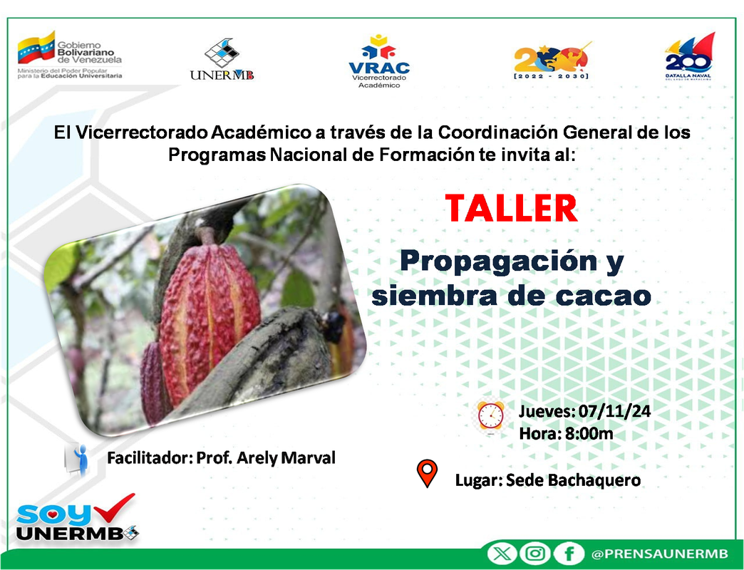 Flyer 2