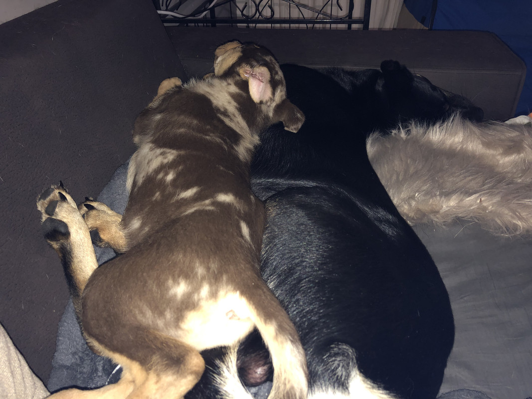 30CE22F2-91CC-4191-985E-7C7F5839918F