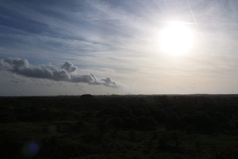 IMAGE: https://i.postimg.cc/DzTWR9qn/IMG-2395.jpg