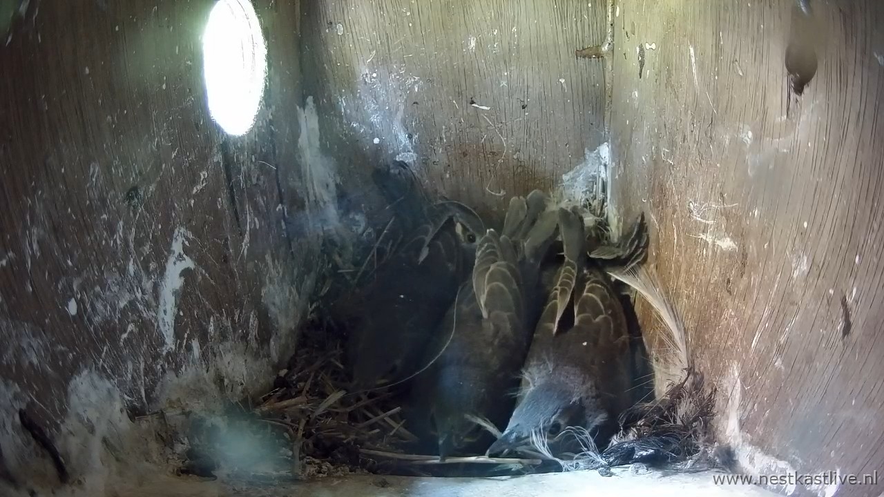 snapshot - 2025-05-14T094125.033