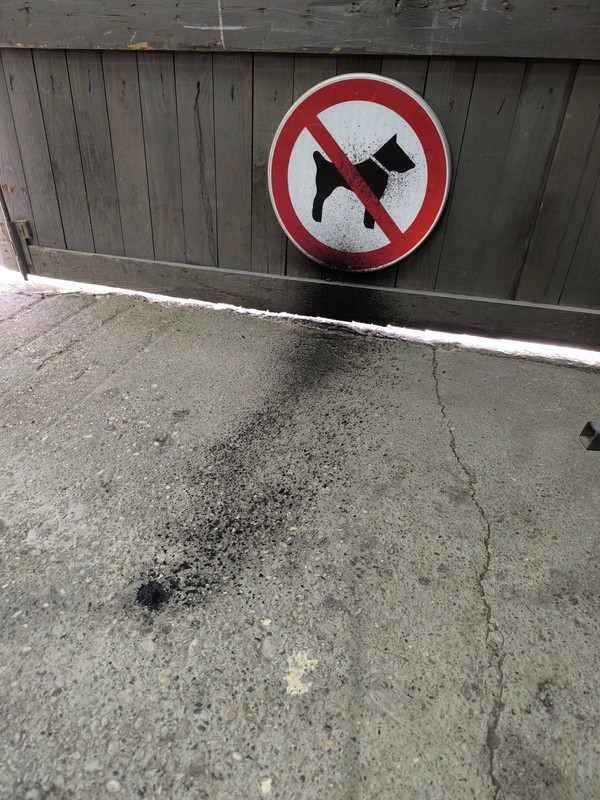 IMG 20260312 132604 1